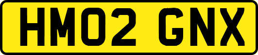HM02GNX