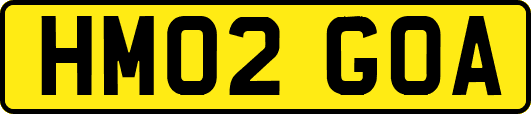 HM02GOA
