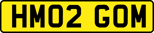 HM02GOM