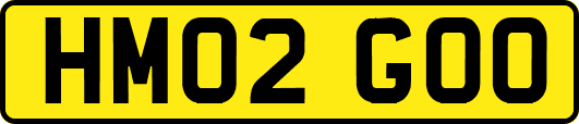 HM02GOO
