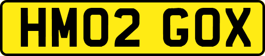 HM02GOX