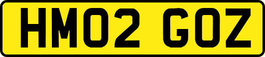 HM02GOZ