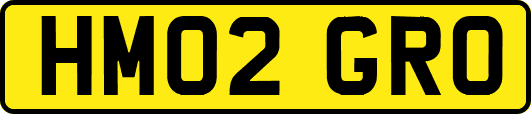 HM02GRO