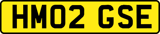 HM02GSE