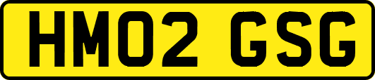 HM02GSG