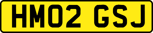HM02GSJ