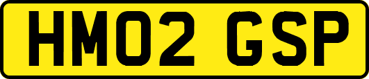 HM02GSP