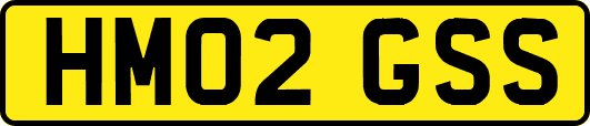 HM02GSS