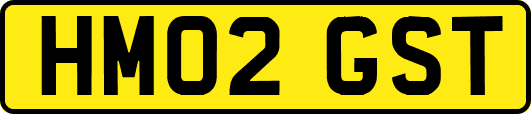 HM02GST