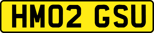 HM02GSU