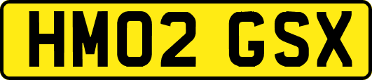 HM02GSX