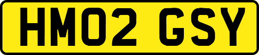 HM02GSY