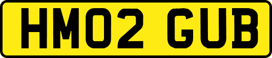 HM02GUB