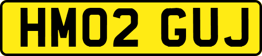 HM02GUJ