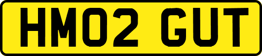 HM02GUT