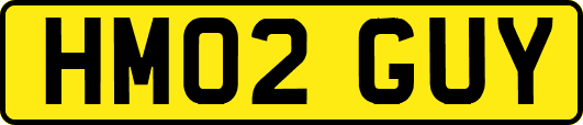 HM02GUY