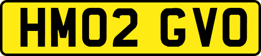 HM02GVO