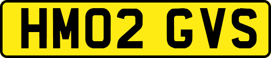 HM02GVS