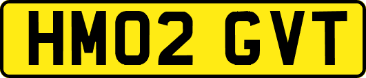 HM02GVT