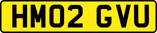 HM02GVU