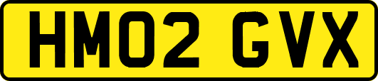 HM02GVX