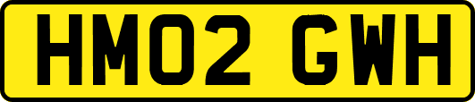 HM02GWH