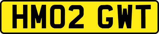 HM02GWT