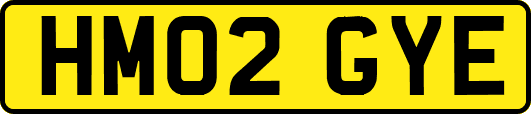 HM02GYE