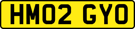 HM02GYO