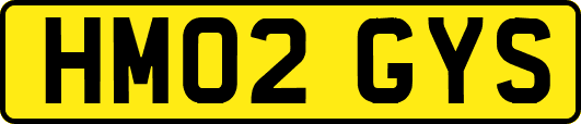 HM02GYS