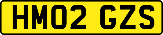 HM02GZS
