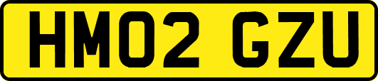 HM02GZU