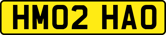 HM02HAO