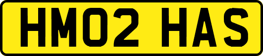 HM02HAS