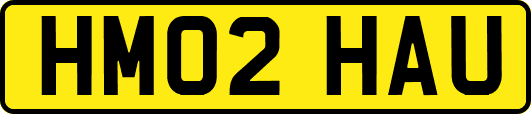 HM02HAU