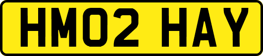 HM02HAY