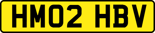 HM02HBV