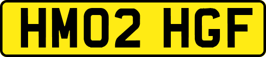 HM02HGF