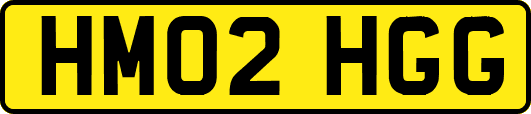 HM02HGG