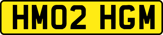 HM02HGM