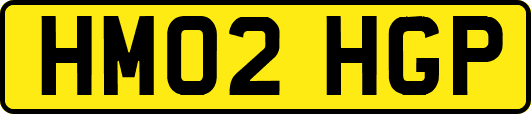 HM02HGP