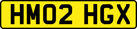 HM02HGX