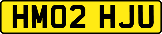 HM02HJU