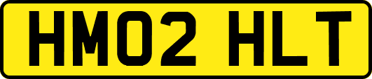HM02HLT