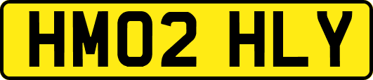 HM02HLY