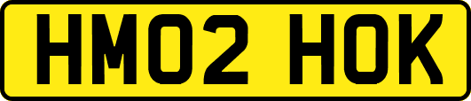 HM02HOK