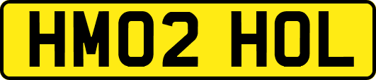 HM02HOL