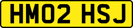 HM02HSJ