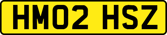 HM02HSZ