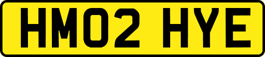 HM02HYE